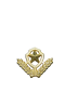 图片12.png